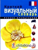 Краткий русско-французский визуальный словарь