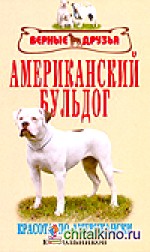 Американский бульдог