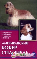 Американский кокер спаниель