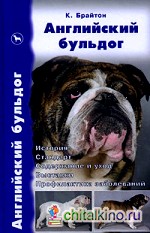 Английский бульдог