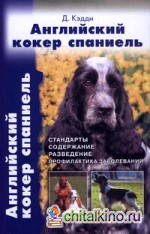 Английский кокер спаниель