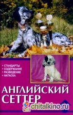 Английский сеттер: Стандарты. Содержание. Разведение. Профилактика заболеваний
