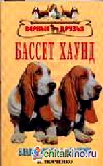 Бассет хаунд