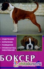 Боксер: Содержание. Кормление. Разведение. Профилактика заболеваний