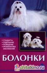 Болонки