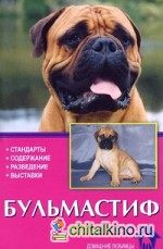 Бульмастиф