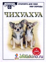 Чихуахуа (+ DVD)