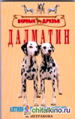 Далматин: активность and элегантность