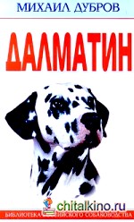 Далматин