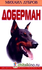 Доберман