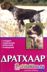 Дратхаар: История. Стандарт. Испытания. Разведение