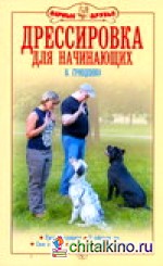 Дрессировка для начинающих