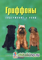 Гриффоны: Содержание и уход