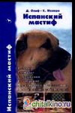 Испанский мастиф
