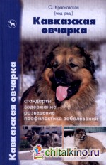 Кавказская овчарка: Стандарты. Содержание. Разведение. Профилактика заболеваний