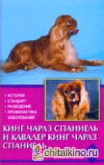 Кинг чарлз спаниель и кавалер кинг чарлз спаниель
