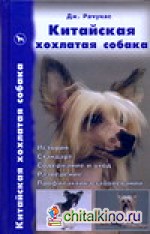 Китайская хохлатая собака