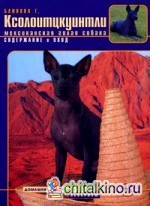 Ксолоитцкуинтли (мексиканская голая собака): Содержание и уход