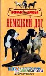 Немецкий дог