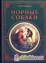 Норные собаки