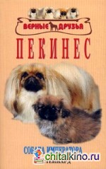 Пекинес: Собака императора