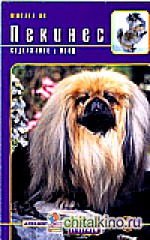 Пекинес: Содержание и уход