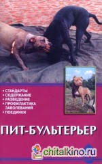 Пит-бультерьер