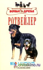 Ротвейлер