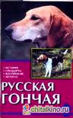 Русская гончая