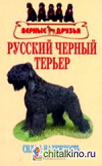 Русский черный терьер
