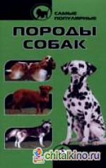 Самые популярные породы собак