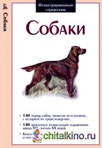 Собаки