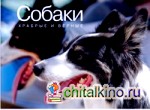 Собаки: Храбрые и верные