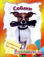 Собаки
