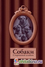 Собаки