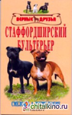 Стаффордширский бультерьер