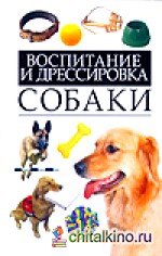 Воспитание и дрессировка собаки