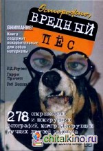 Вредный пес