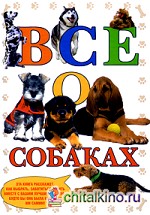 Все о собаках