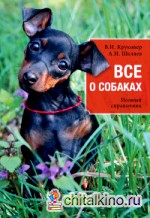 Все о собаках