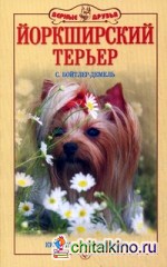 Йоркширский терьер: Красота и дружелюбие