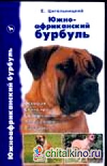 Южноафриканский бурбуль