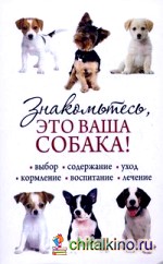 Знакомьтесь, это ваша собака!