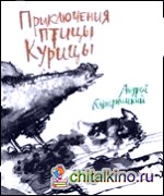 Приключения Птицы Курицы