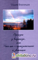 Орхидеи у водопада, или Что-то — пронзительное и звенящее