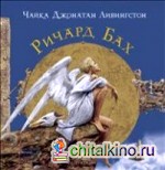 Чайка Джонатан Ливингстон : (подарочная)