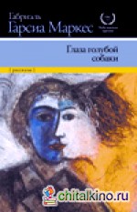 Глаза голубой собаки