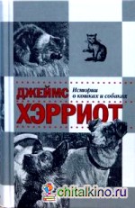 Истории о кошках и собаках