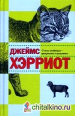 О всех созданиях — прекрасных и разумных
