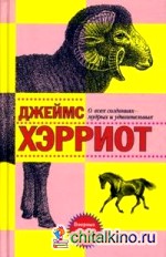 О всех созданиях — мудрых и удивительных